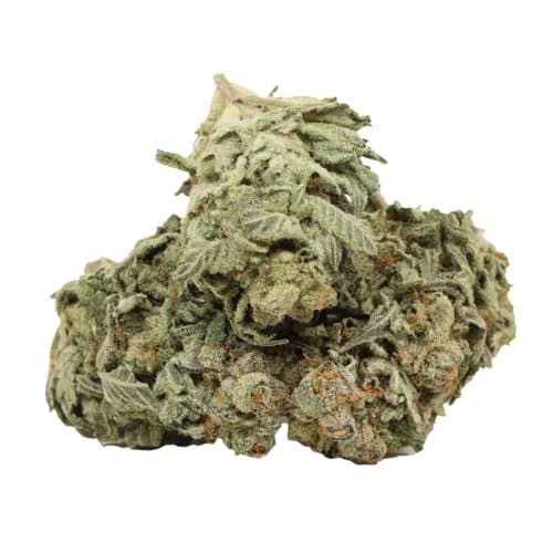 9 Pound Hammer strain cannabis