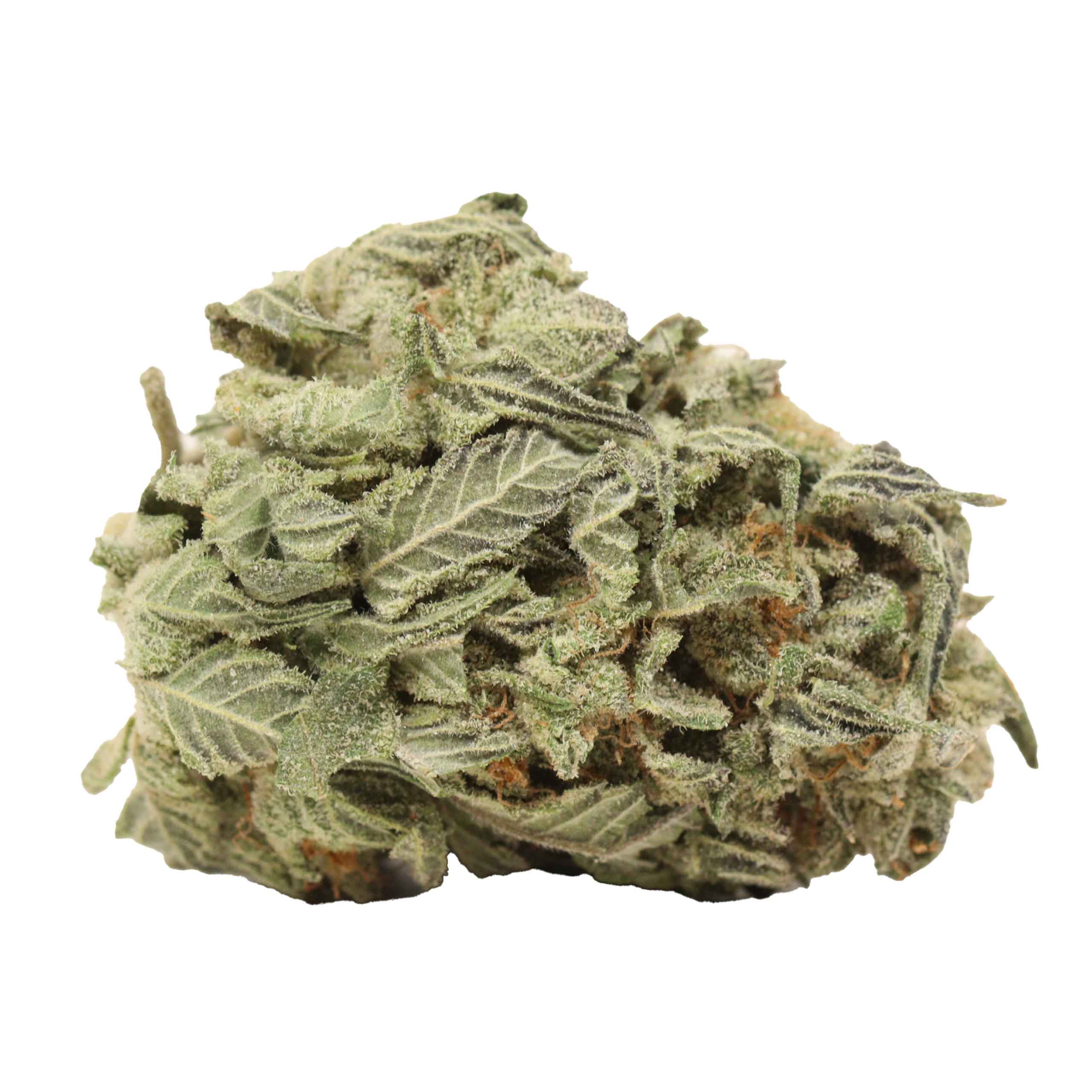 9 Pound Hammer weed cannabis