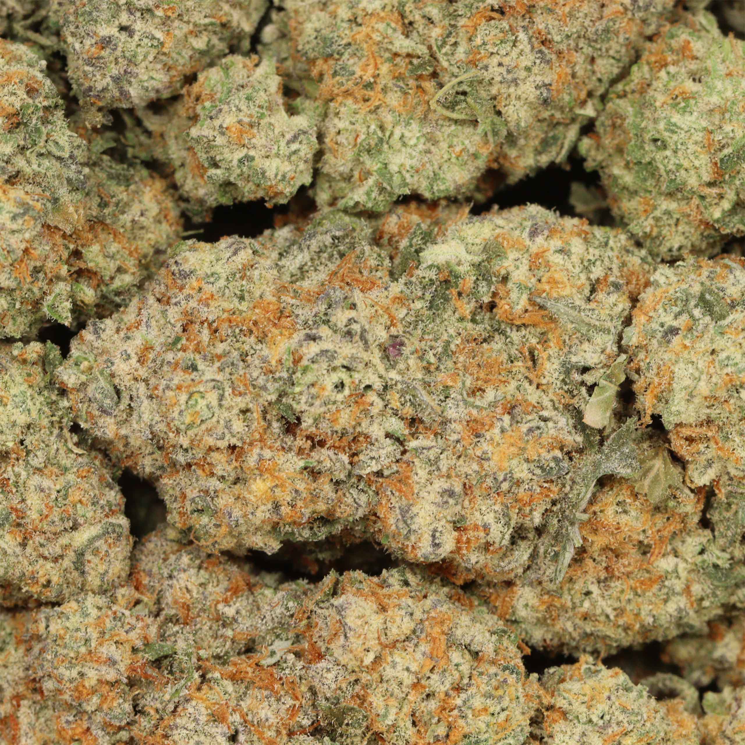 Ace Killer OG - Image 3