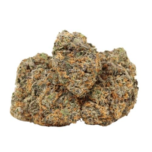 Ahi Tuna Kush strain cannnabis