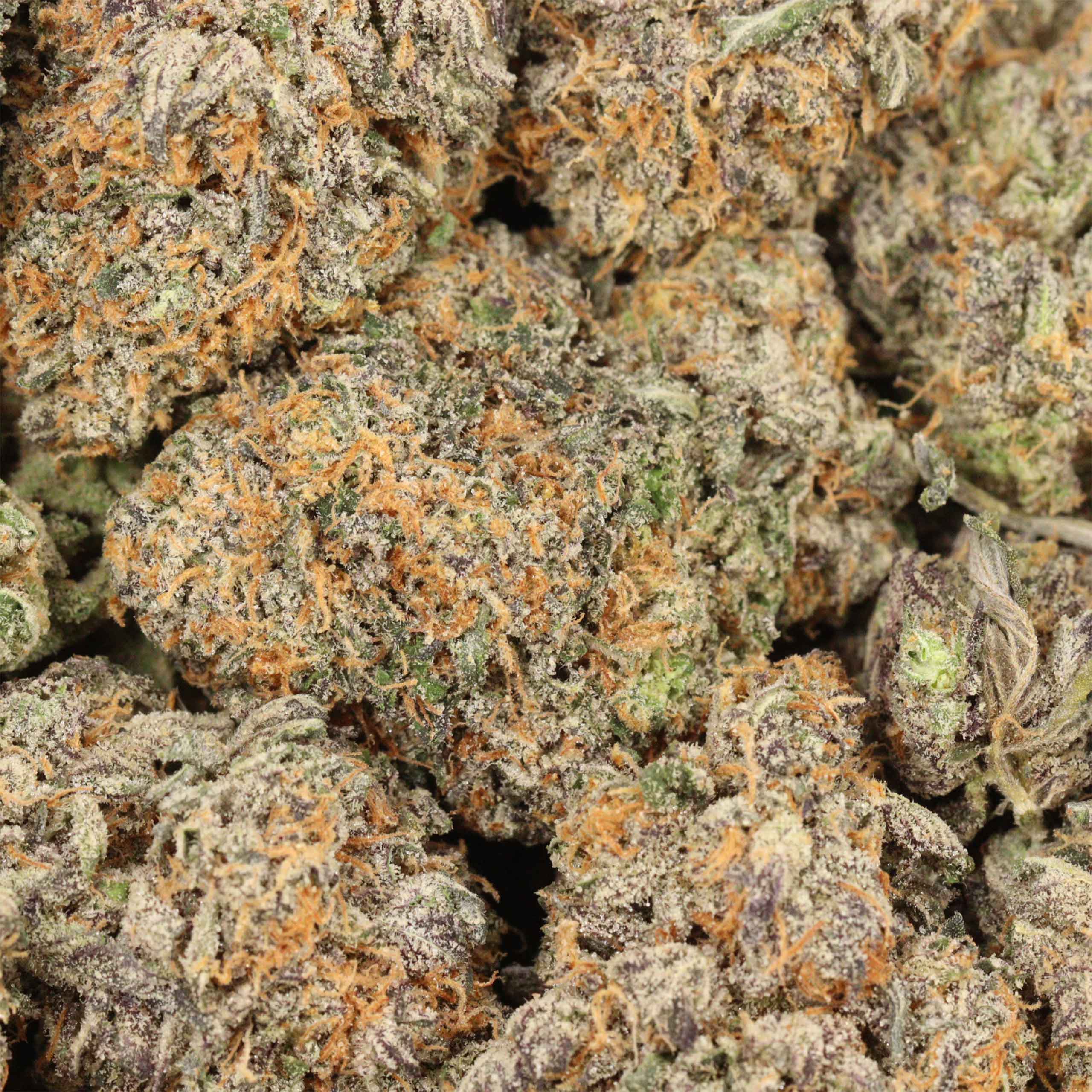 Ahi Tuna Kush cannnabis