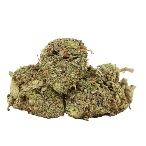 Alaskan Thunder Fuck strain cannabis