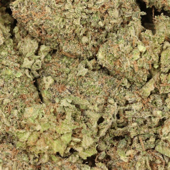 Alaskan Thunder Fuck Strain