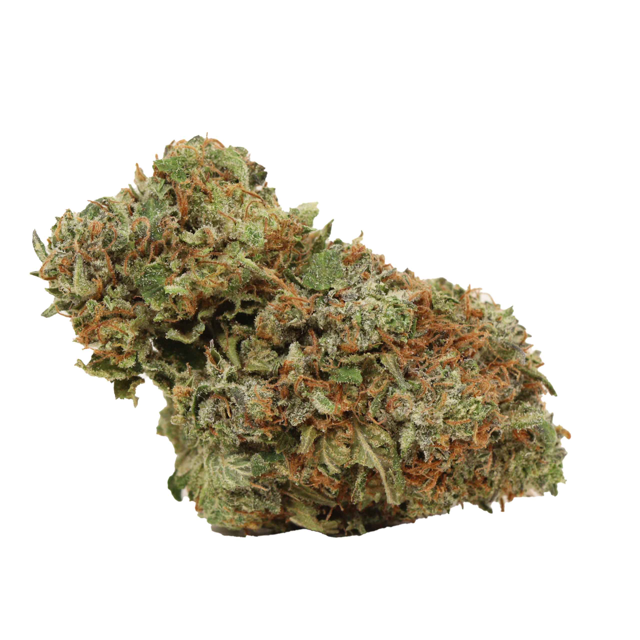 Astro Pink Kush weed cannabis