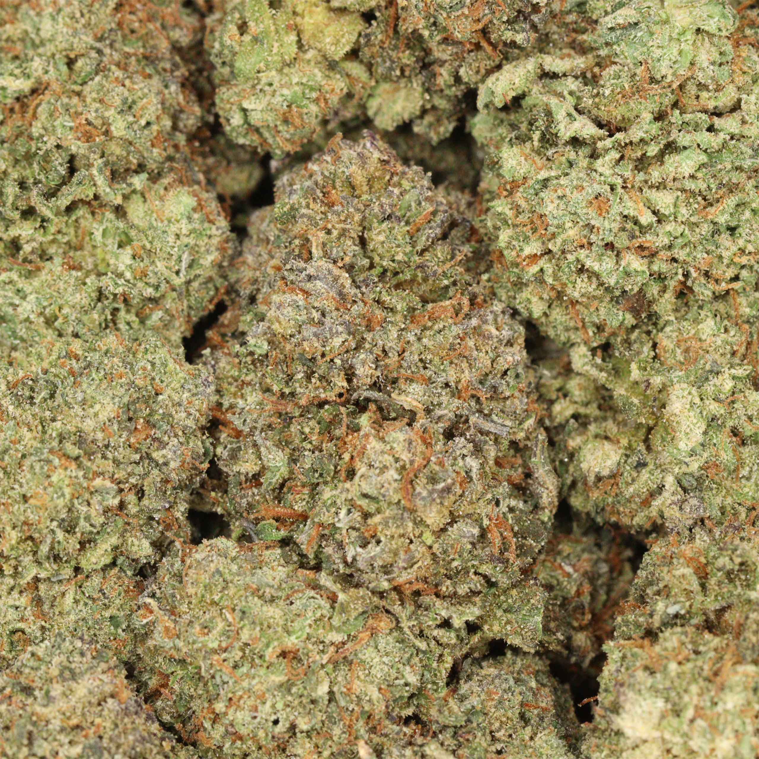 Banana Runtz - Image 3