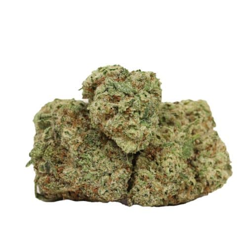 Big Drip strain cannabis