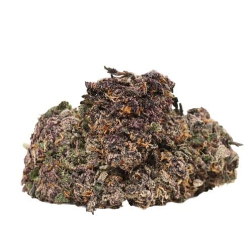 Black Kush strain cannabis