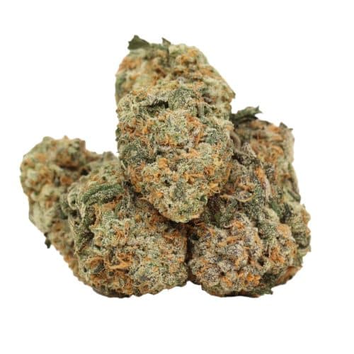 Black Mamba strain cannabis