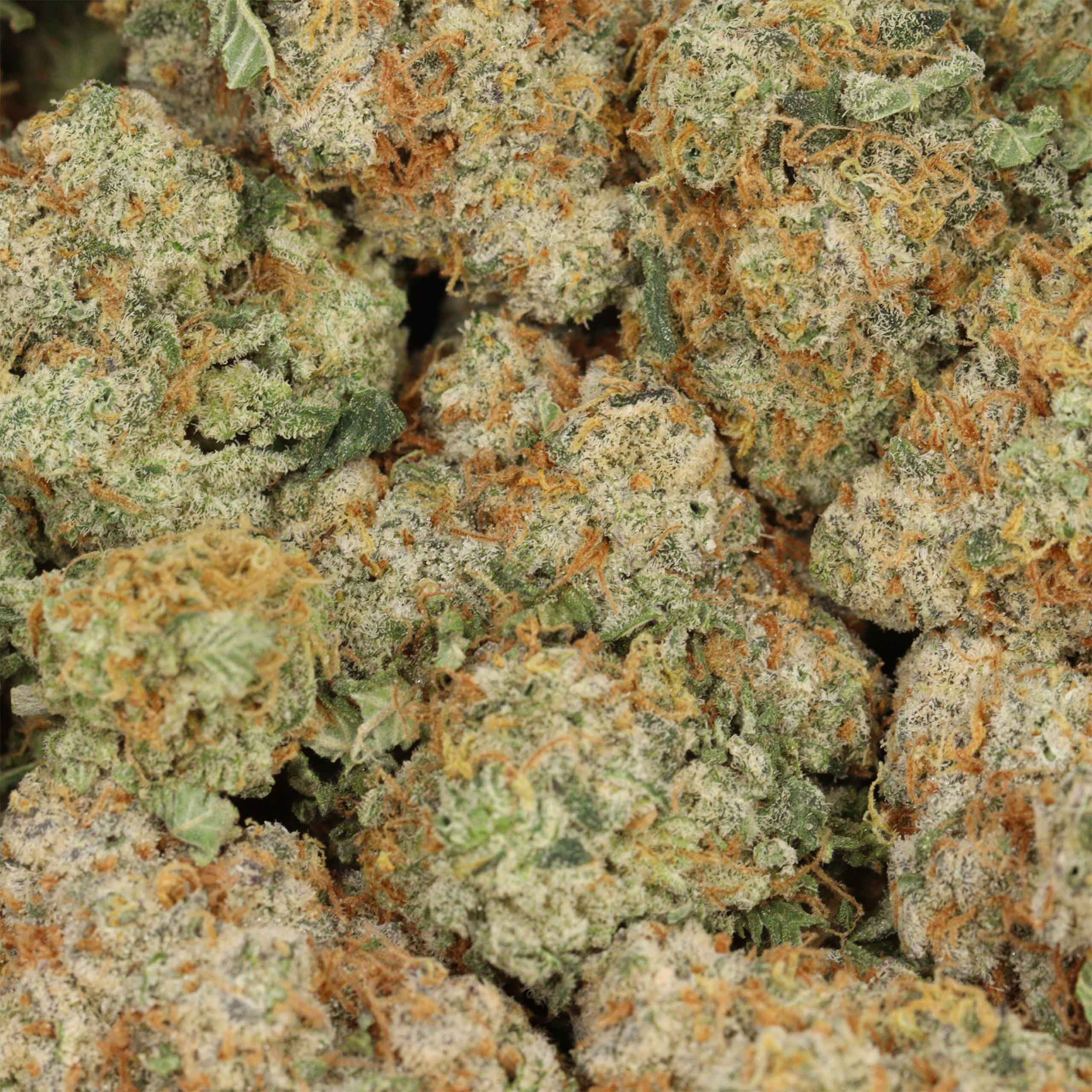 Blueberry AK cannabis