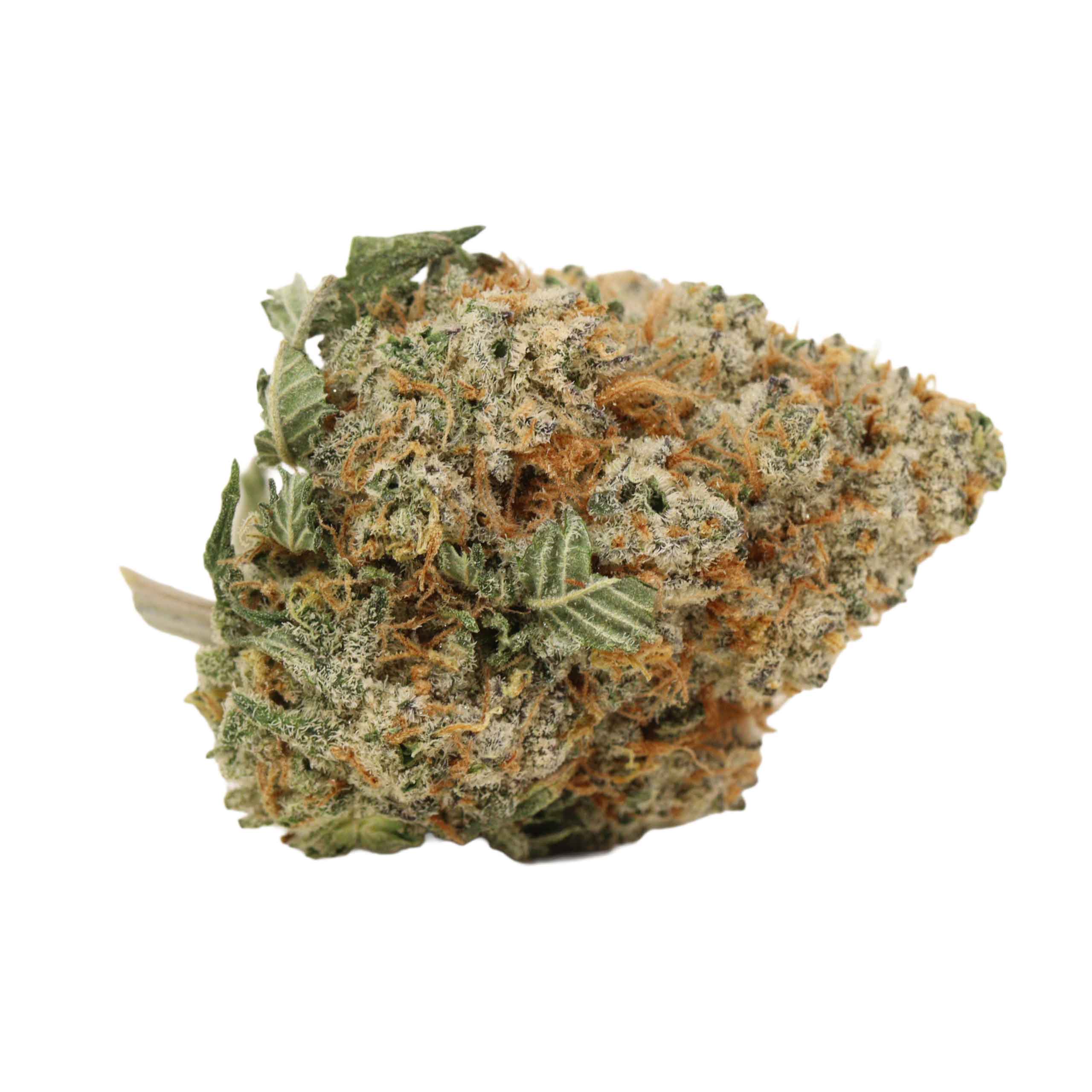 Blueberry AK weed cannabis