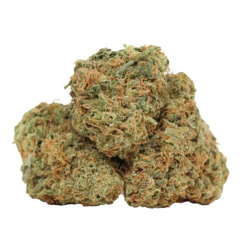 Blueberry Kush strain cannabis