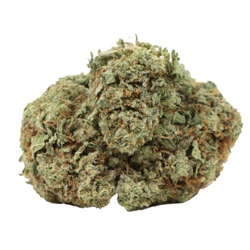 Bubba Kush strain cannabis