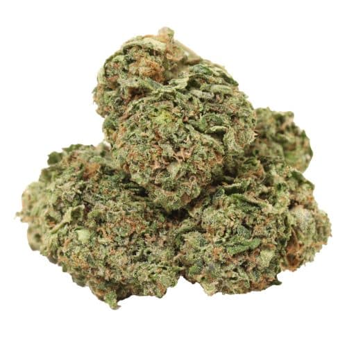 Caviar Pink Kush strain cannabis