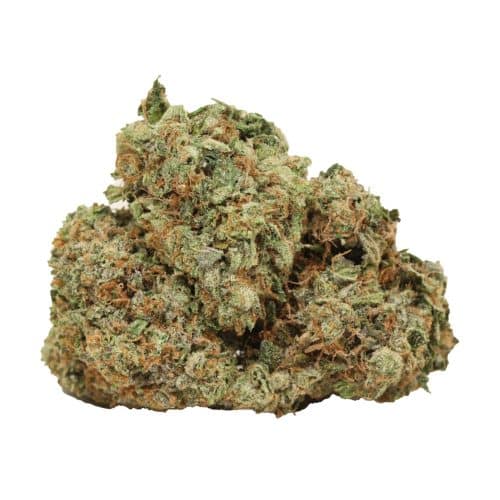 Comatose OG strain cannabis