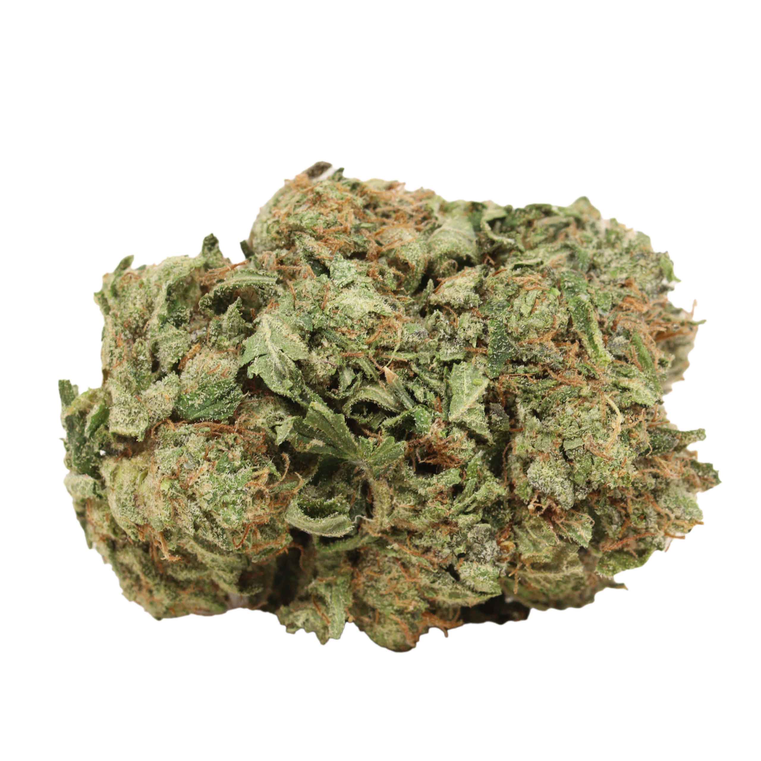 Comatose OG - Image 2