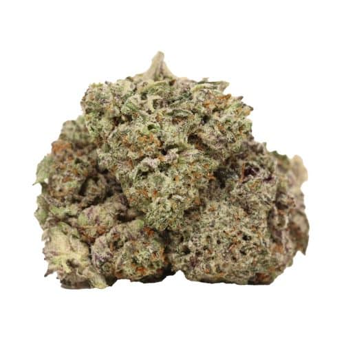 Dairy Queen strain cannabis