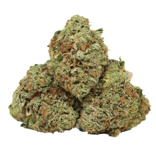 Death Gas strain cannabis