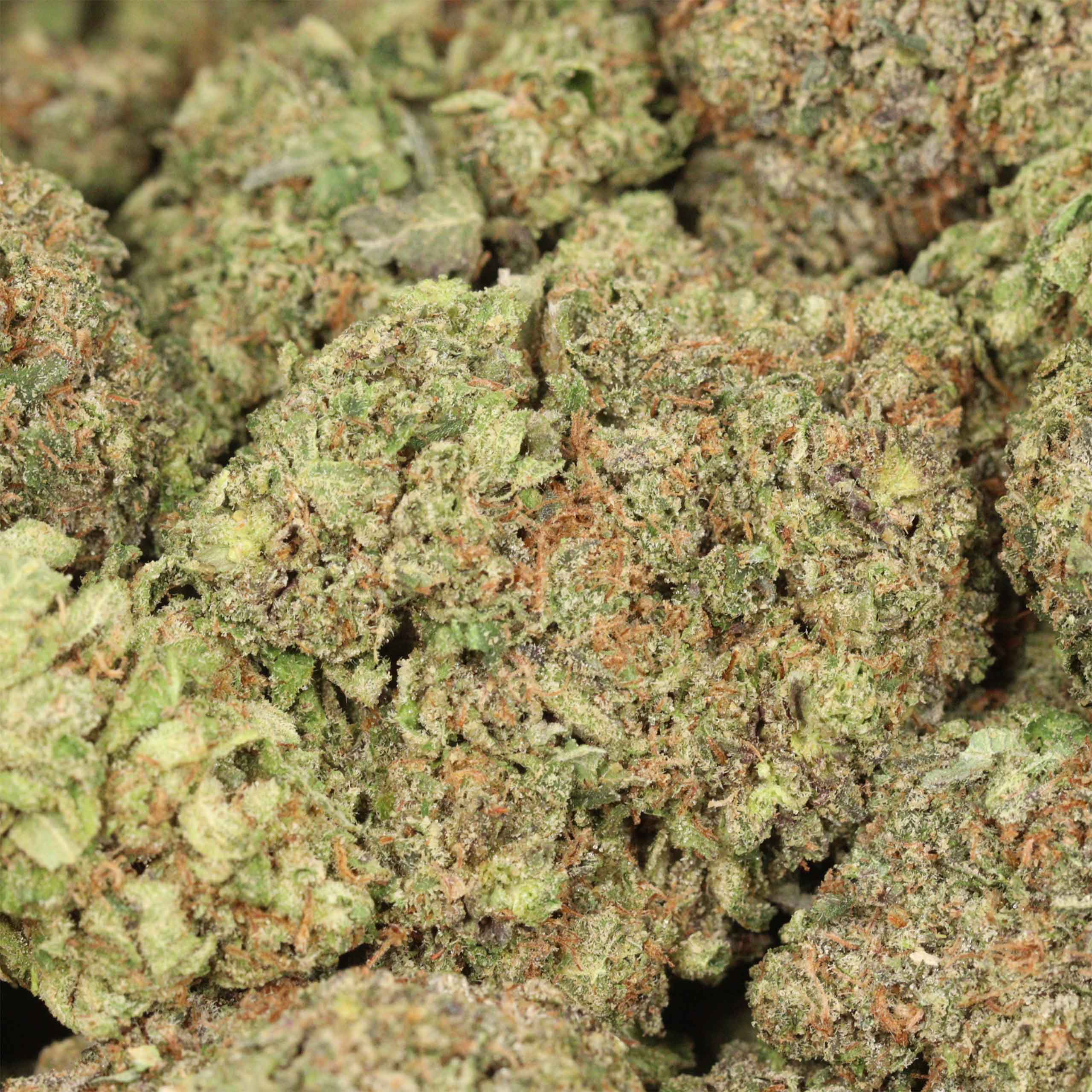 Dior Pink Kush - Image 3