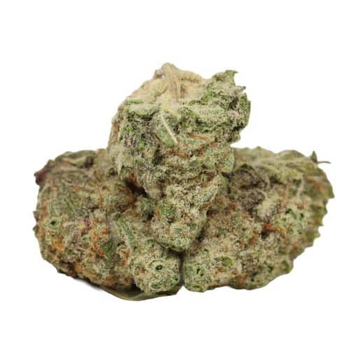 Dirty Mac strain cannabis