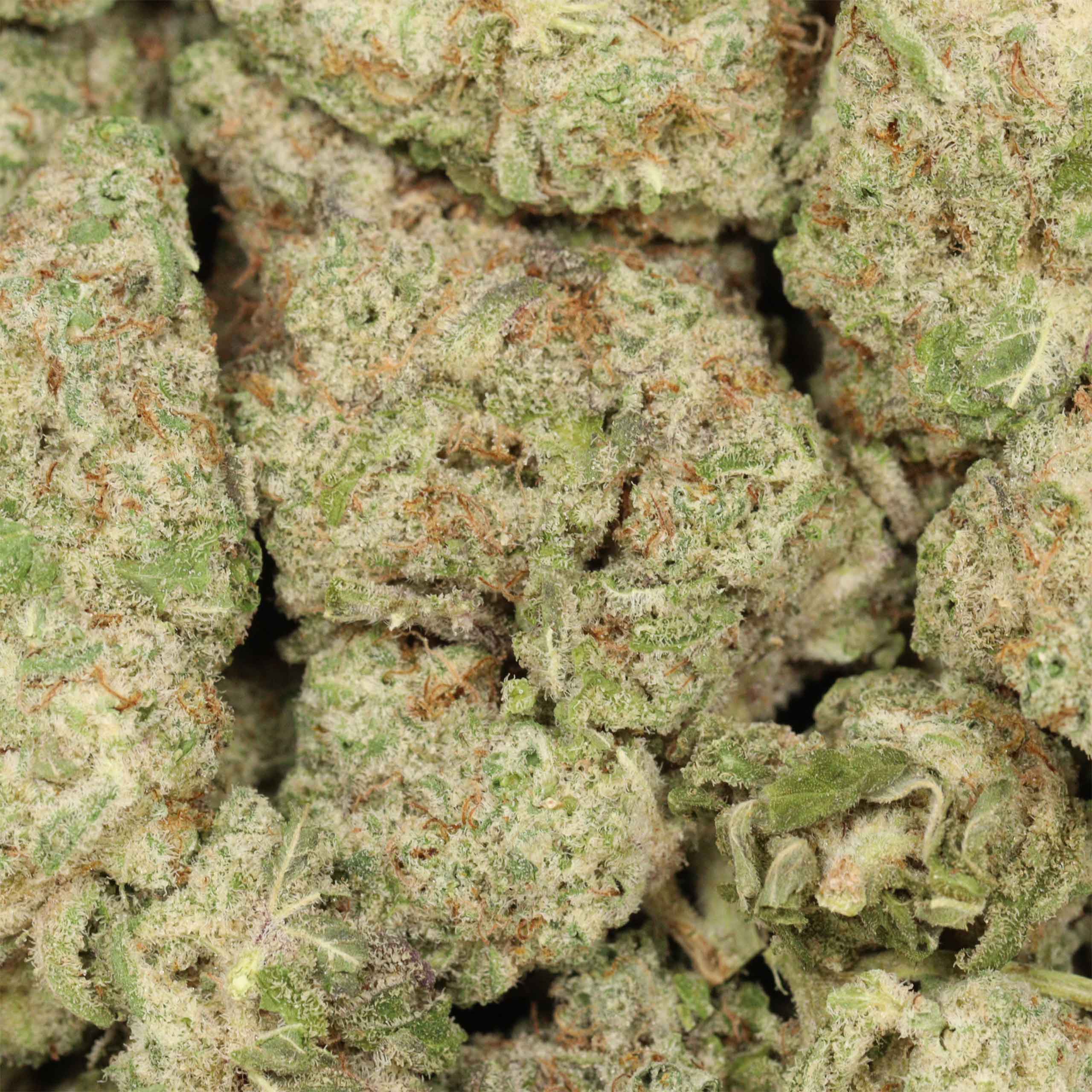 Dirty Mac cannabis