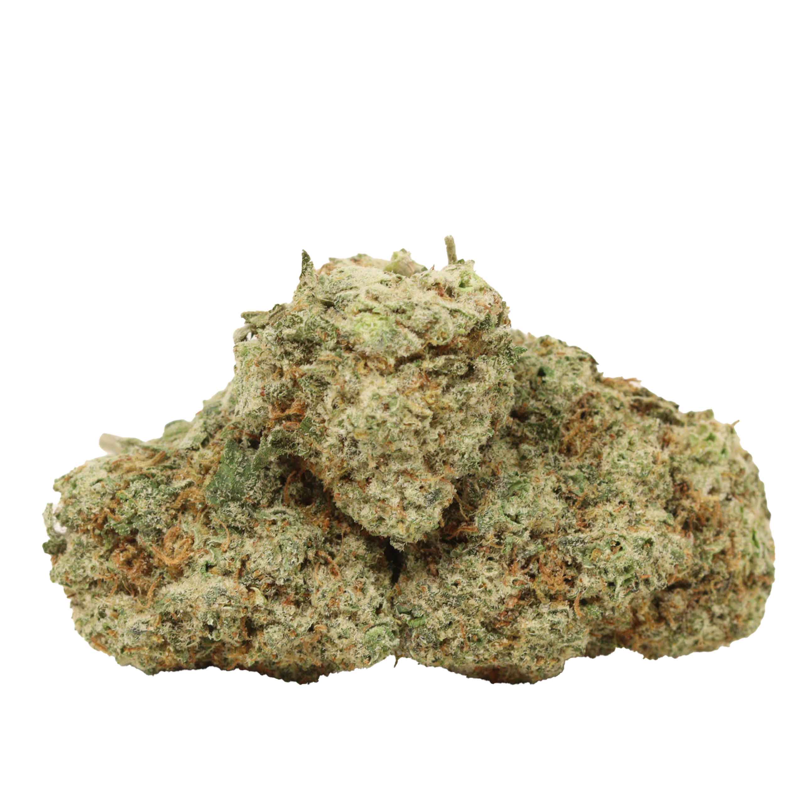 Dos Diablo strain cannabis