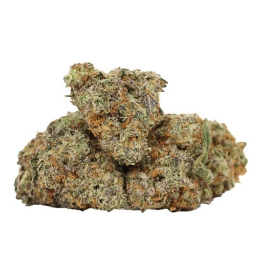 Dos Diablo strain cannabis