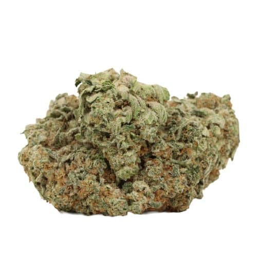 Dream Wedding strain cannabis