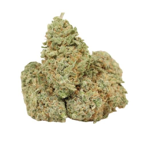 Durban Poison strain cannabis