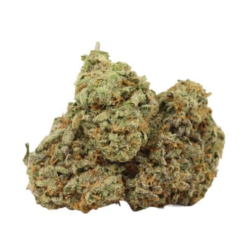 Galactic Punch strain cannabis