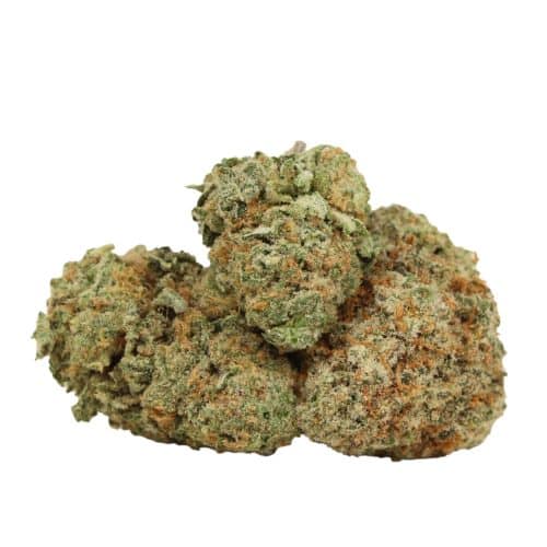 Gelato #33 strain cannabis