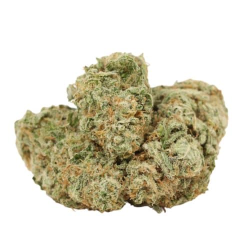 Girl Scout Cookies strain cannabis