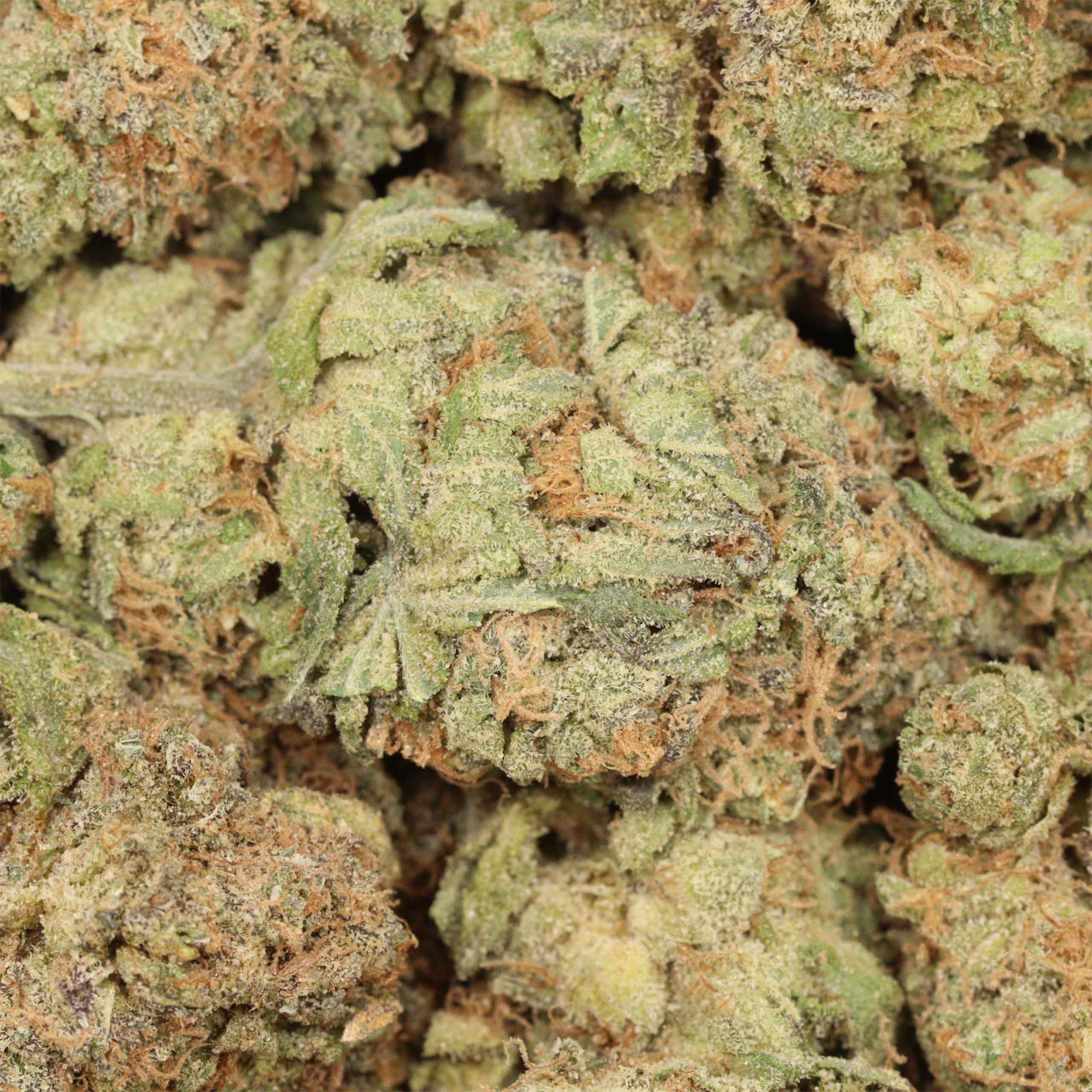 Girl Scout Cookies - Image 3