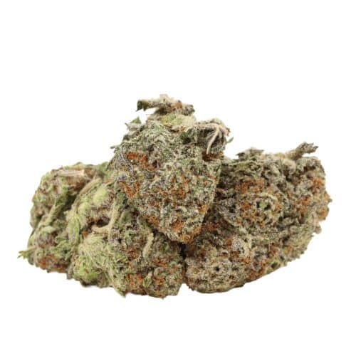 Gorilla Glue #4 strain cannabis
