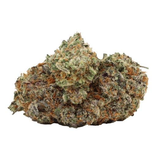 Grand Daddy Purple strain cannabis