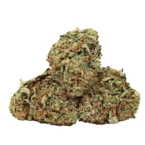 King Louis XIII strain cannabis