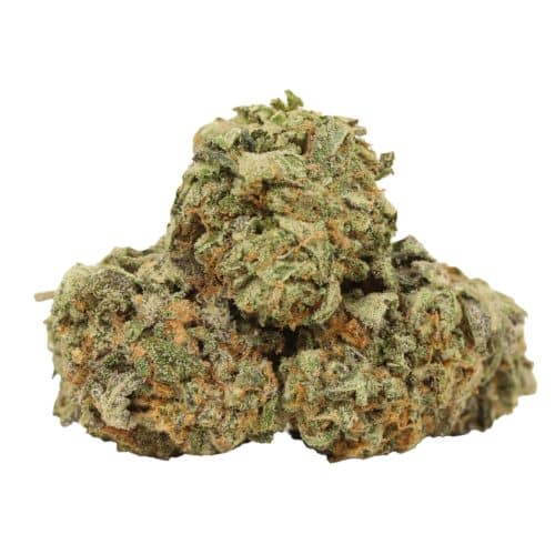 Layer Cake strain cannabis