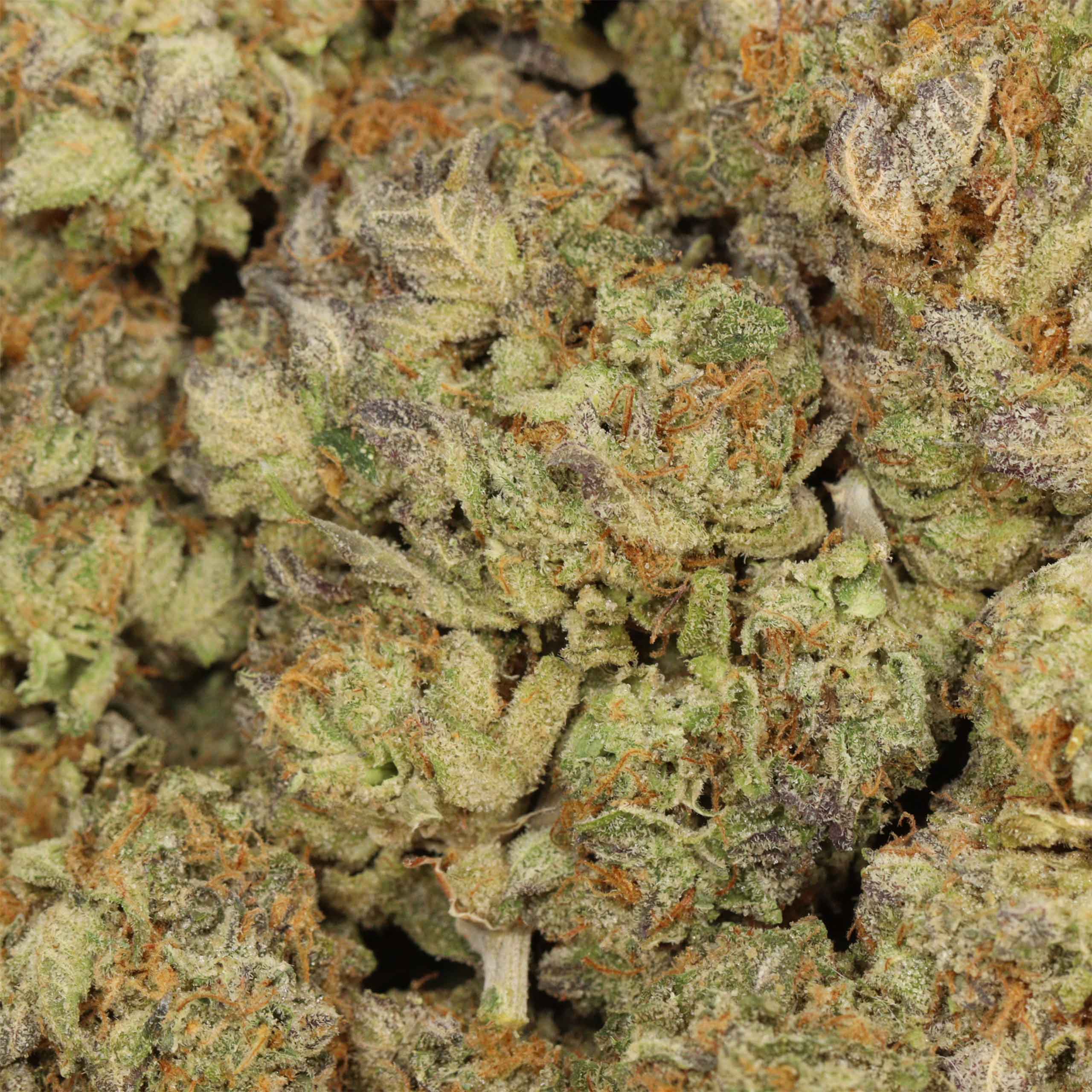 Layer Cake cannabis