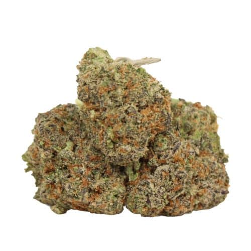 money maker strain cannabis