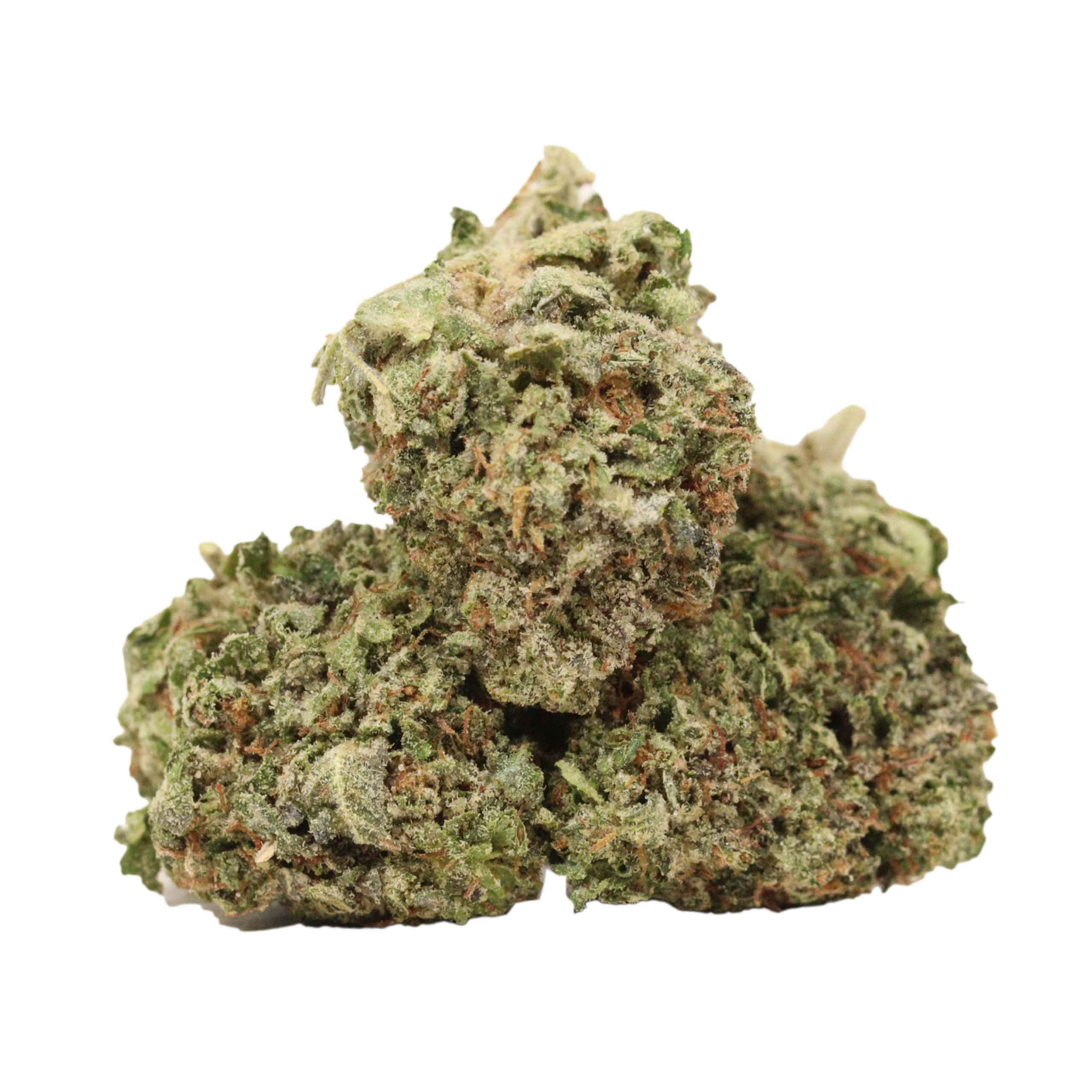Money Maker strain cannabis