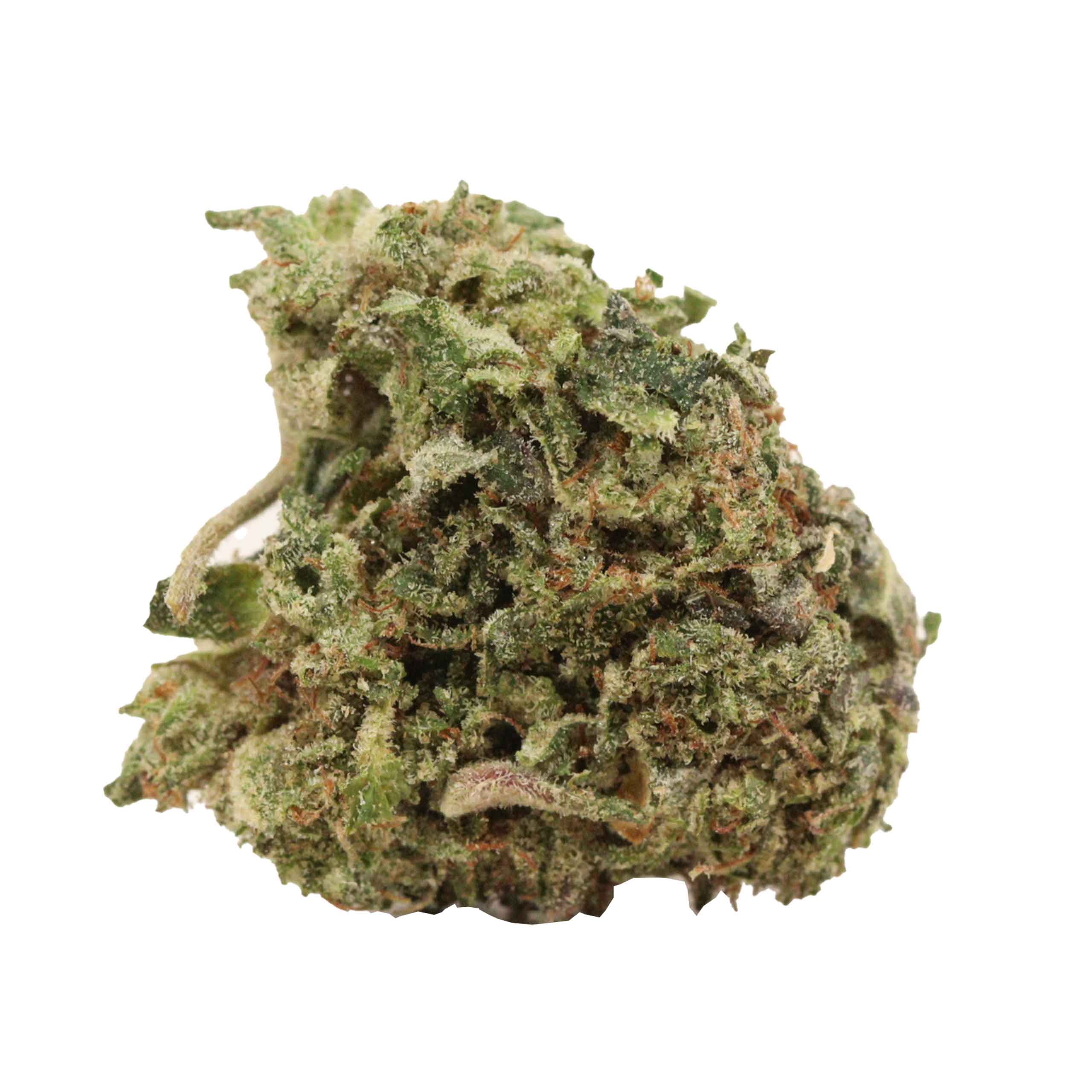 Money Maker weed cannabis