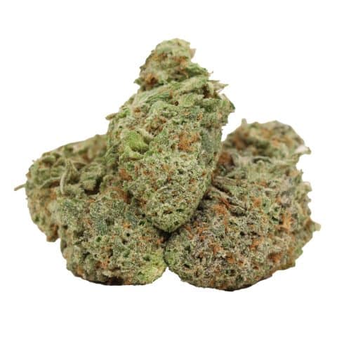 Nuken strain cannabis