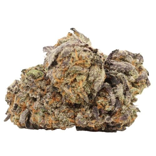 Permanent Marker strain cannabis