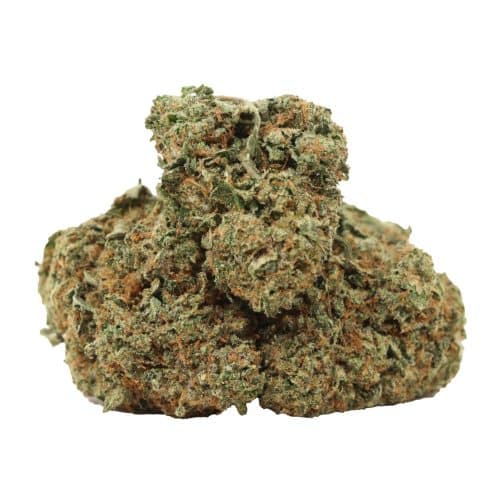 Pink Octane strain cannabis