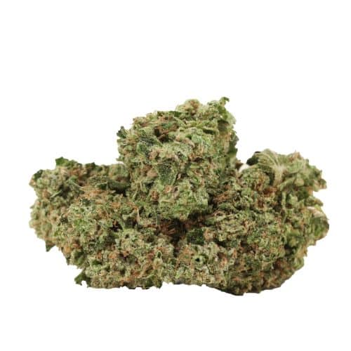 Pink Star strain cannabis