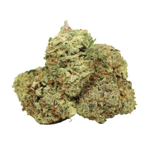 Red Congolese strain cannabis