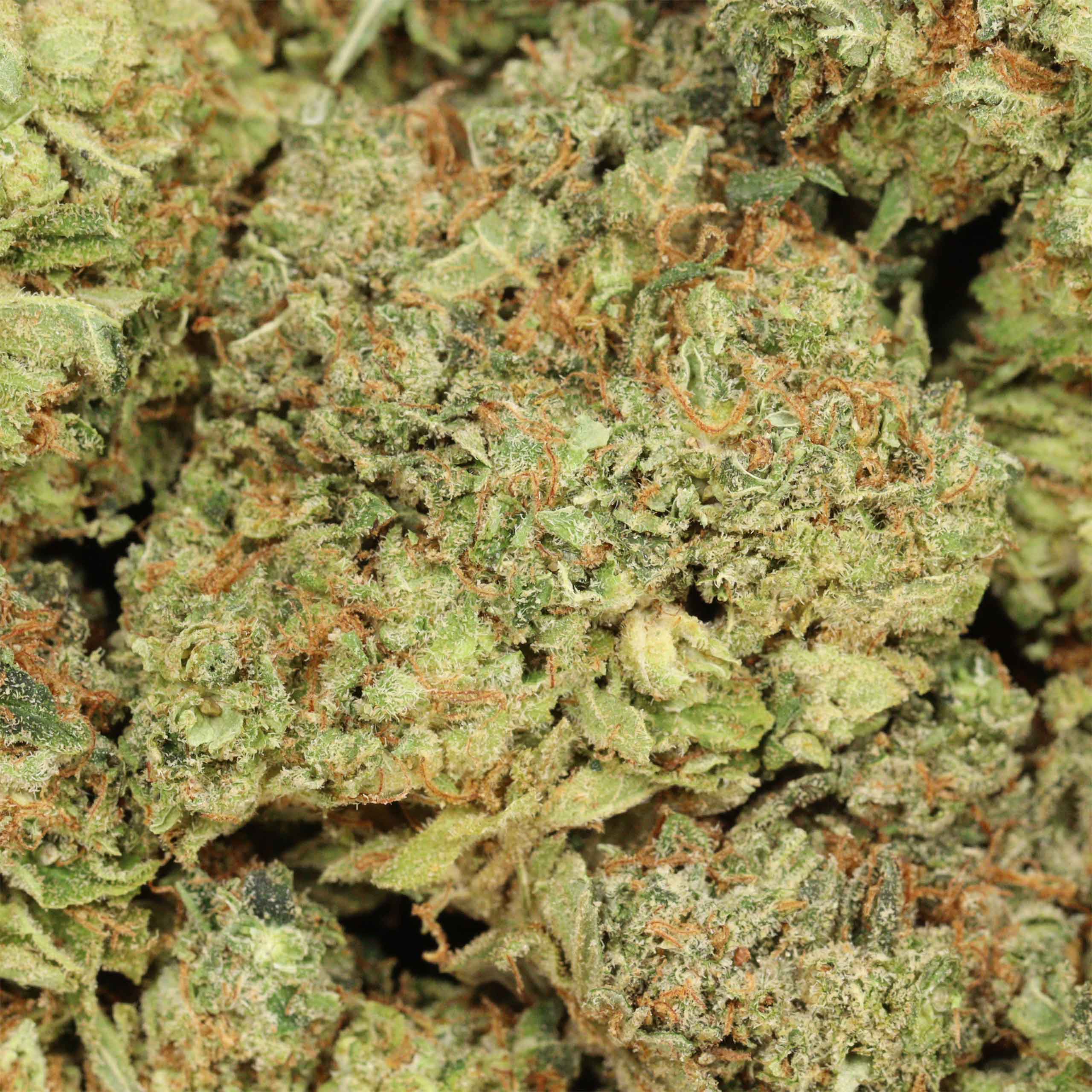 Red Congolese cannabis