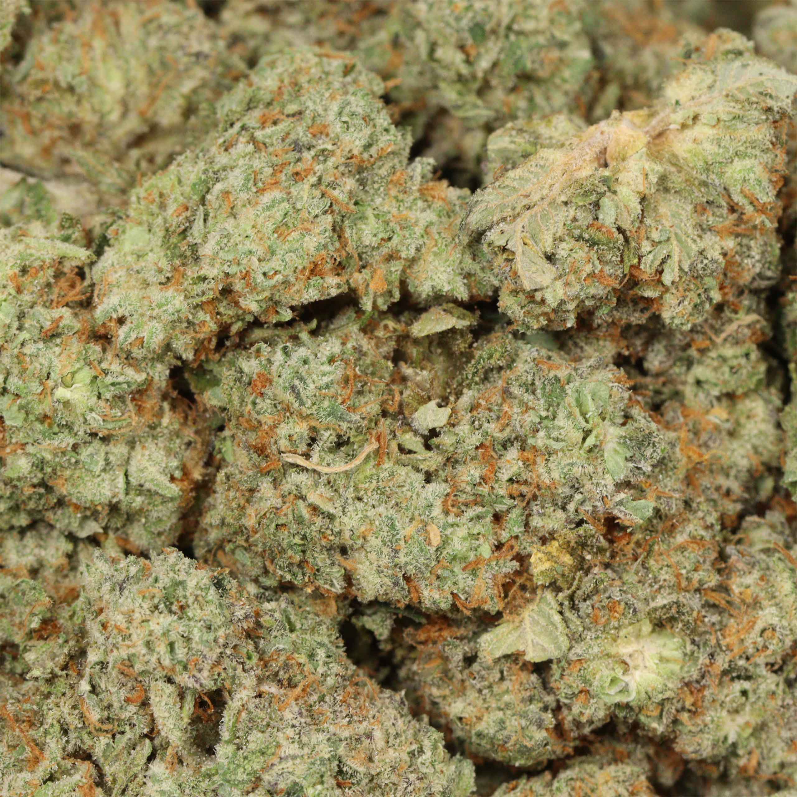 Space Queen cannabis