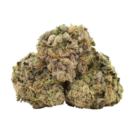 Sugar Cookies strain cannabis