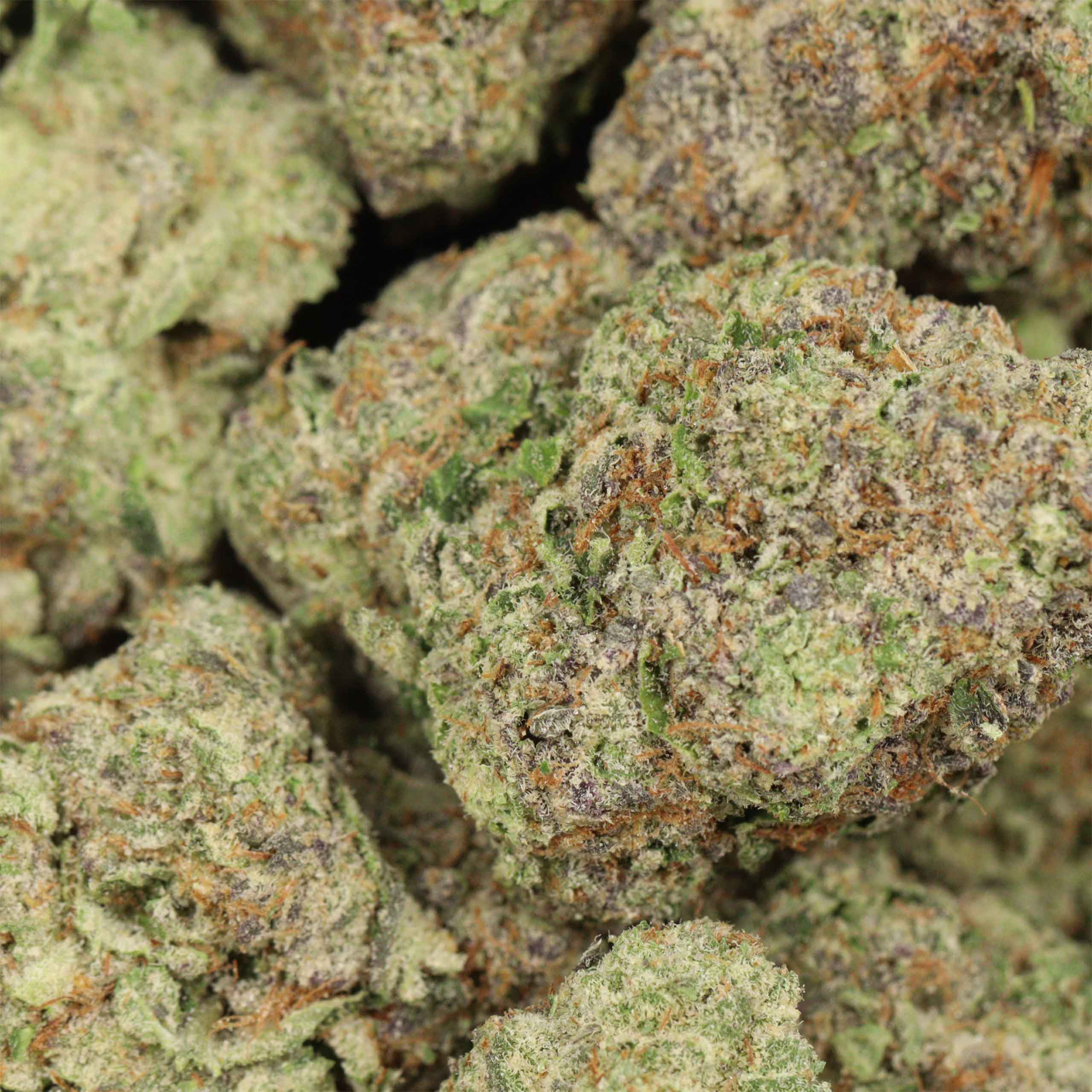 Ultimate Trainwreck - Image 3
