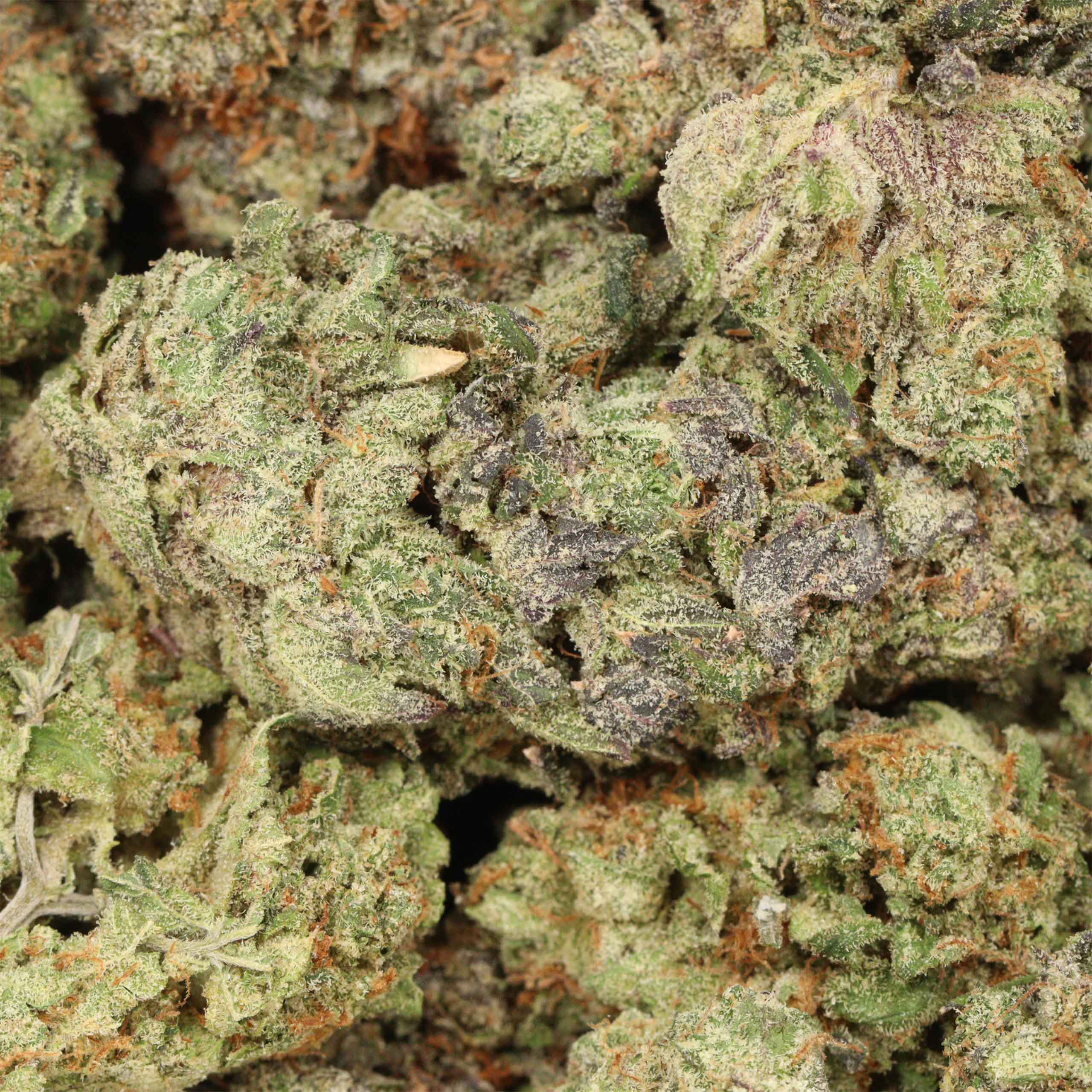 Ultra Banana cannabis